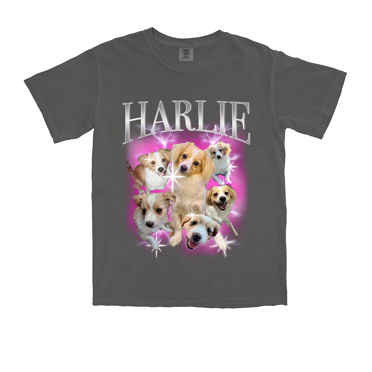 Pet Bootleg Tee