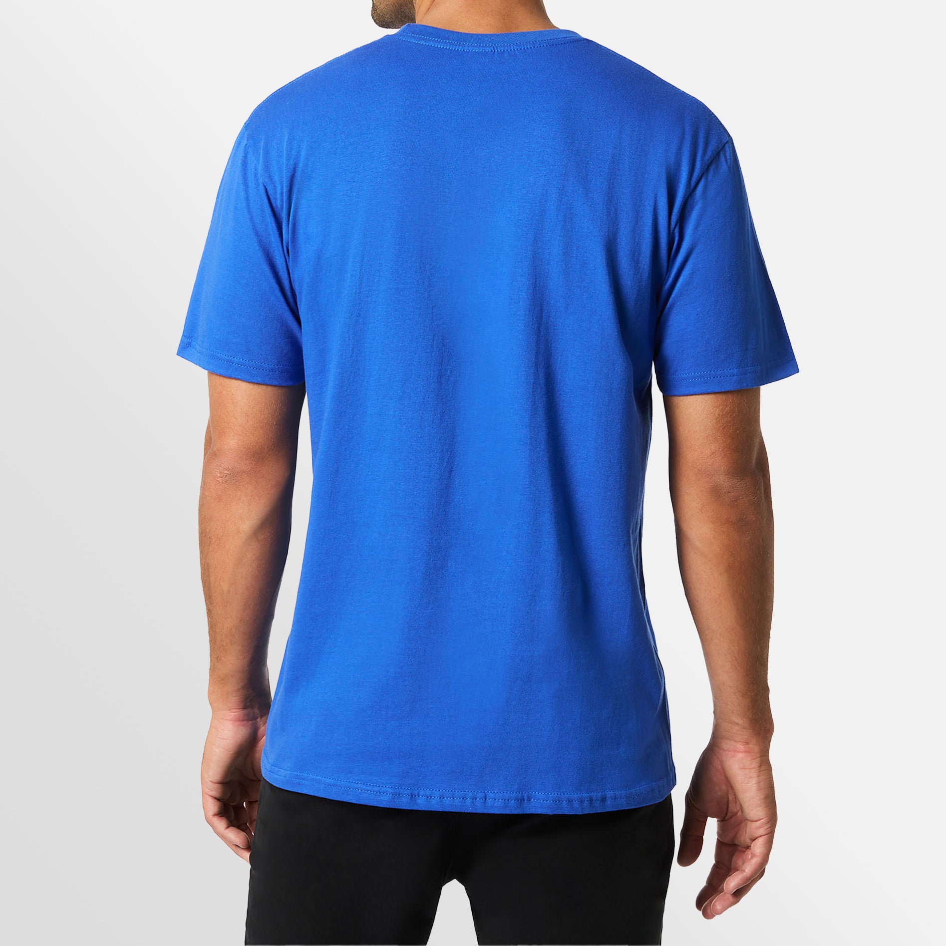 Premium Softstyle Tee – on request