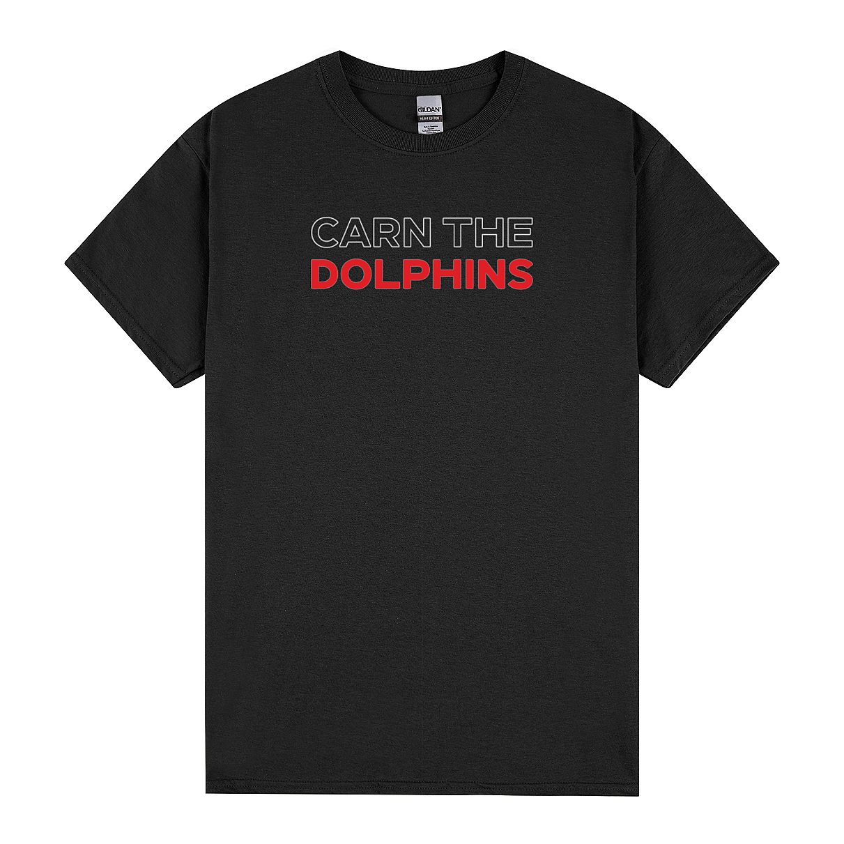 Dolphins Footy Tee