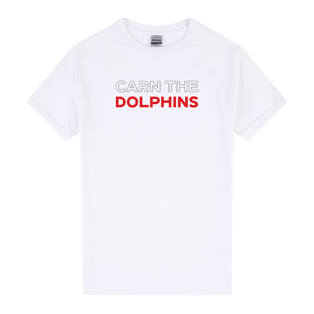 Dolphins Footy Tee