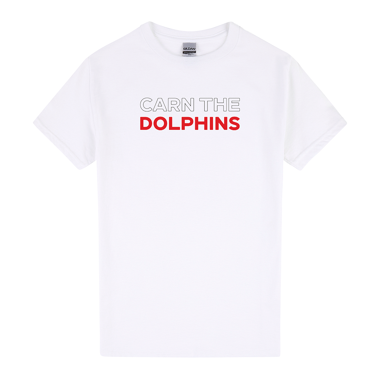 Dolphins Footy Tee