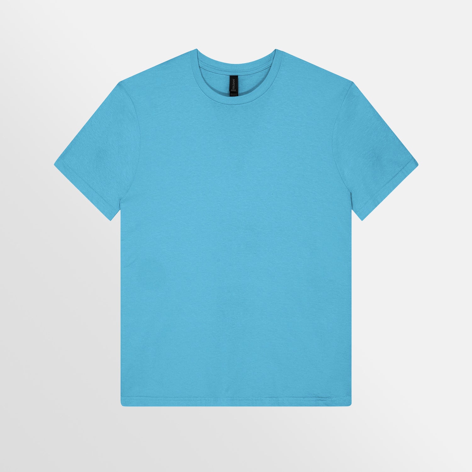 Premium Softstyle Tee – on request